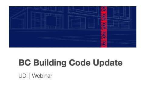 UDI Webinar