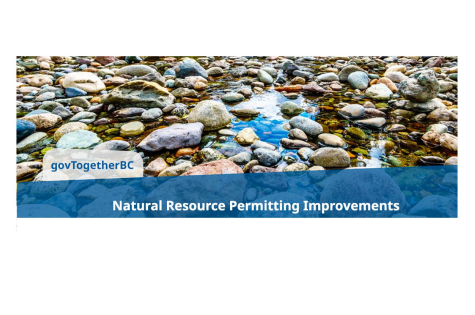 Natural Resources BC
